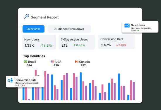 Supanalyzer segment report overview